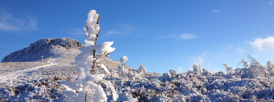 Le Puy de Chambourguet
